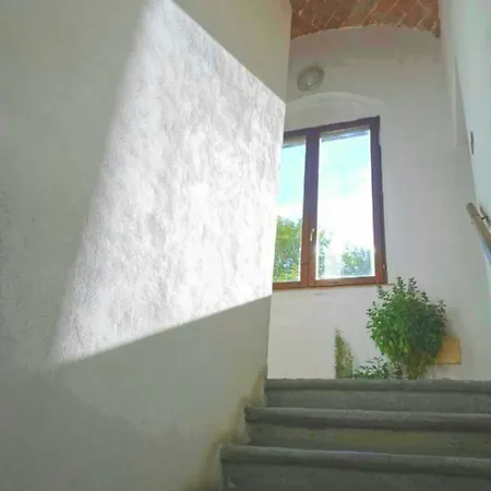 Apartman Corte124